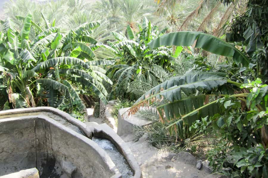 Oman's Grand Canyon: Full-Day Tour from Muscat - The drive from Muscat: beautiful, but not short