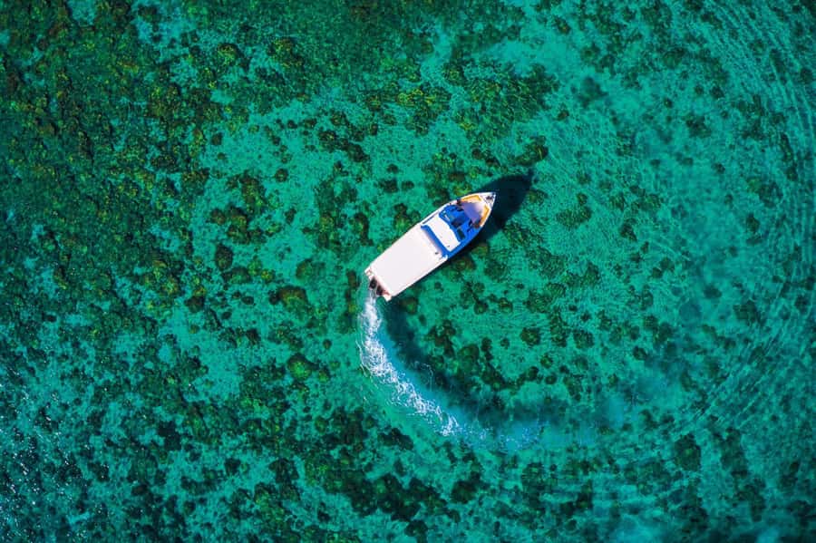 Oman: Snorkeling Trip at Daymaniyat Islands - Seasonal rules for getting onto the beach