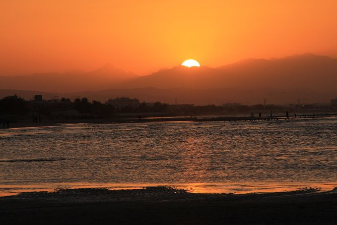 Omani Dhow Coastal and Sunset Cruise - Sailing past Al Bustan Palace