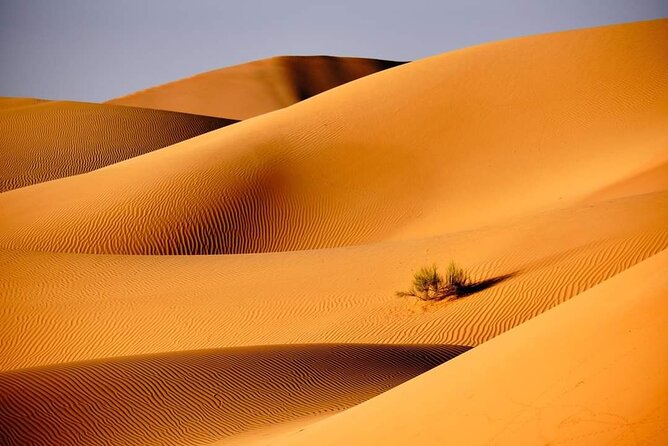 Private 2 Days 1 Night Wahiba Sands Desert and Wadi Bani Khalid Tour - What the private format really adds