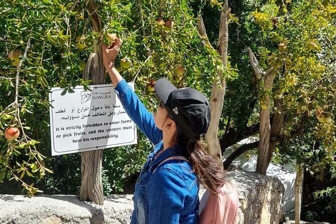 Private 2 - Days Jebel Akhdar Overnight Camping Tours - Nizwa Souq beside the fort