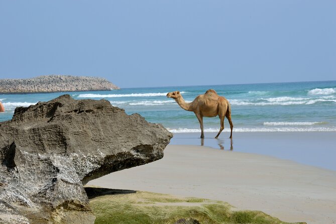 Private Caribian Orient (Swiming in Fazayeh Beach ) - The 800-meter zigzag road through the Qamar Mountains