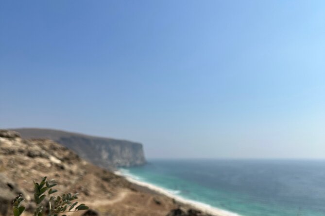Private Caribian Orient (Swiming in Fazayeh Beach ) - Frankincense trees in their natural setting