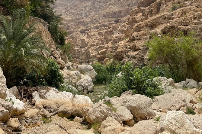 Private Day Trip to Wadi Shab, Fins Beach & Bimmah Sinkhole - The guide can make the active sections easier
