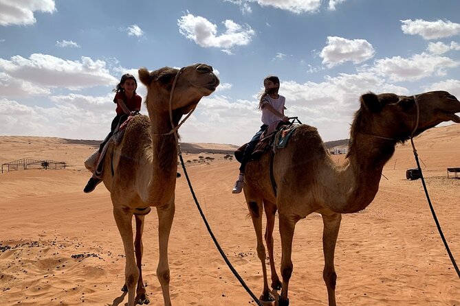 Private Desert and Wadi Tour in Oman - Wahiba Sands: red dunes and open space
