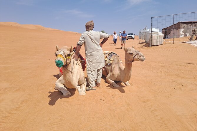 Private Desert and Wadi Tour in Oman - Wadi Bani Khalid: water, palms, and cliffs