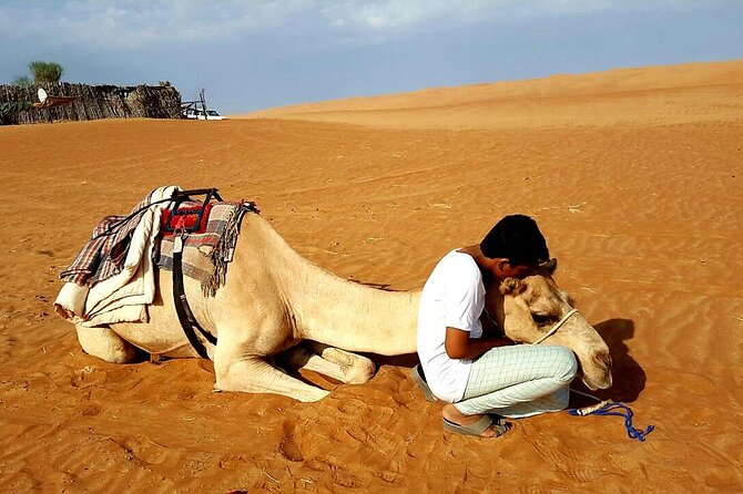 Private Desert Tour with Activities - Full Day - Dune driving without the wildest treatment