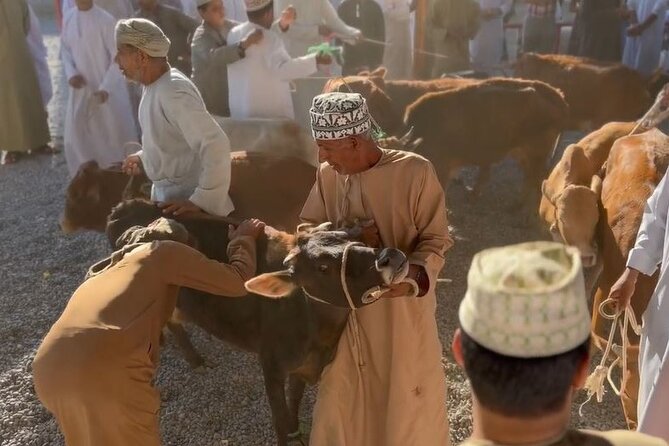 Private Friday Cattle Market-Nizwa and Jebel Akhdar-Full-Day Tour - Diana’s Viewpoint and the final mountain panorama