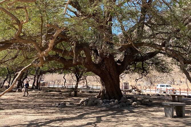 Private Full-Day East Oman Tour from Salalah with Lunch - Tawi Ateer reveals a giant hole in the earth