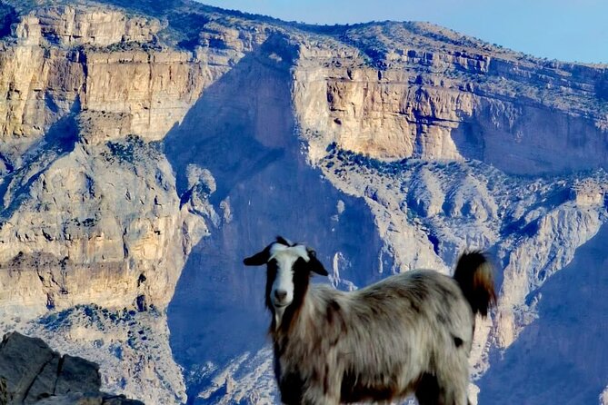 Private Full Day Guided Balcony Walk Hiking to Jebel Shams - The Grand Canyon viewpoint before the hike
