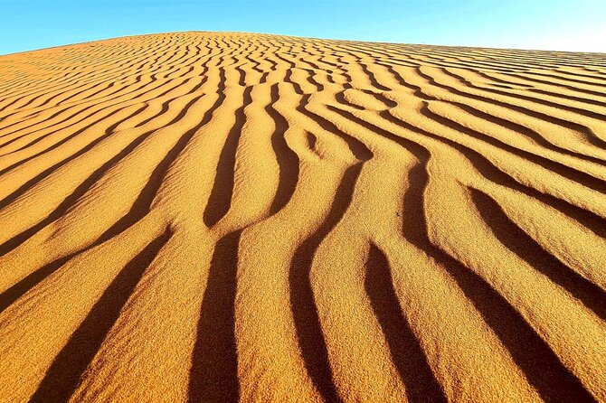 Private Full Day Private Desert Safari Tour - Lunch is simple, flexible, and not included