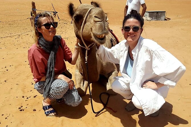 Private Full Day Private Desert Safari Tour - Crossing the orange dunes of Wahiba Sands