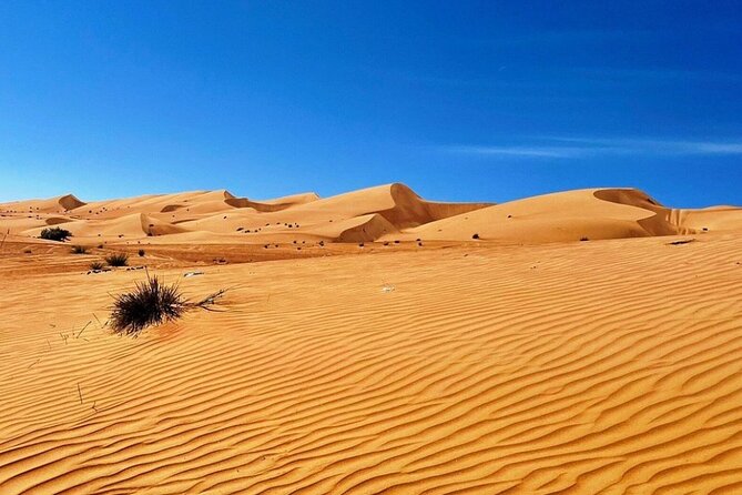 Private Full Day Wadi Bani Khalid With Watching Desert Sunset - Is $176 per person good value?