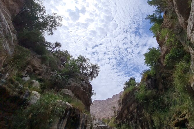 Private Full-Day Wadi Tiwi and Bimmah Sinkhole Tour from Muscat - The 4WD ride and what the private format means