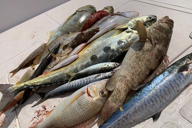 Private Game Fishing Trip with Sightseeing in Muscat - Dolphin Sightseeing and the Unplanned Moments