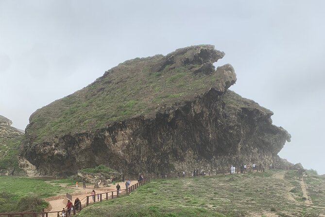 Private Guided Tour to West Beaches of Salalah - Timing, comfort, and who should book