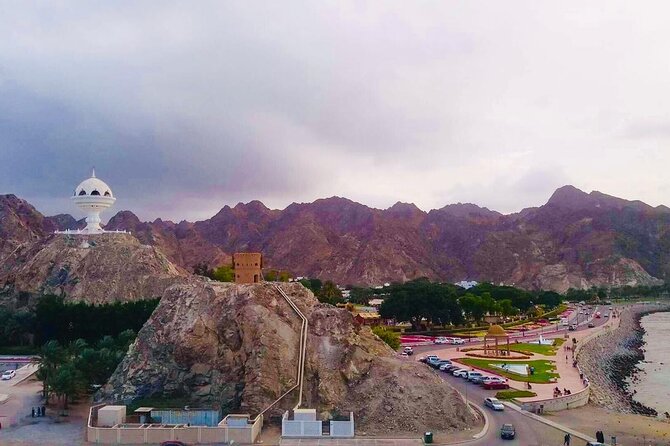 Private Half Day Muscat City Tour Afternoon - The private vehicle and guide experience