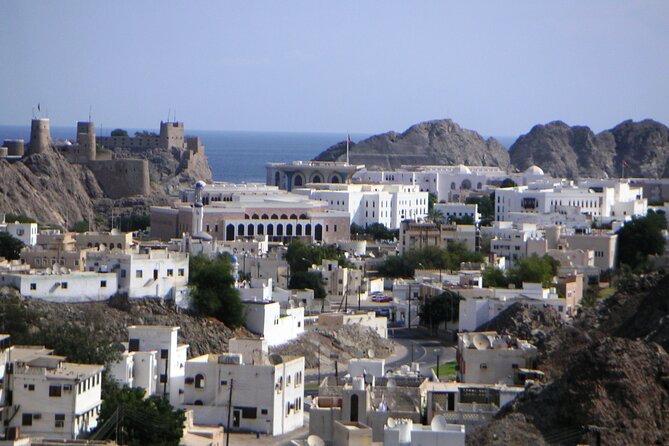 Private Muscat City Sightseeing Tour - A Fascinating Capital - What the guide can add to the morning