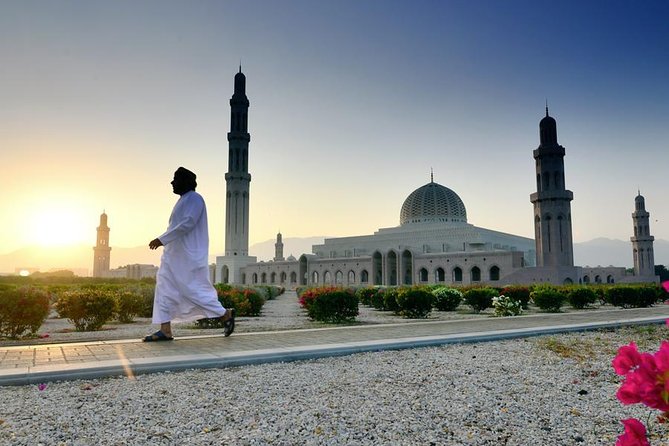 Private-Muscat City tour (Half Day) - Price, group size, and real value