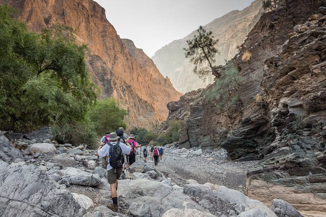 Private Muscat tour to the Grand Canyon Nizwa - Al Hamra and the old mud-brick lanes