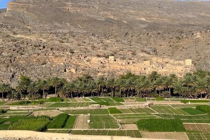 Private Nizwa - Al Hamra Old Village - Misfah Al Arbyeen - Full Day Tour - Timing, comfort, and the day’s trade-offs