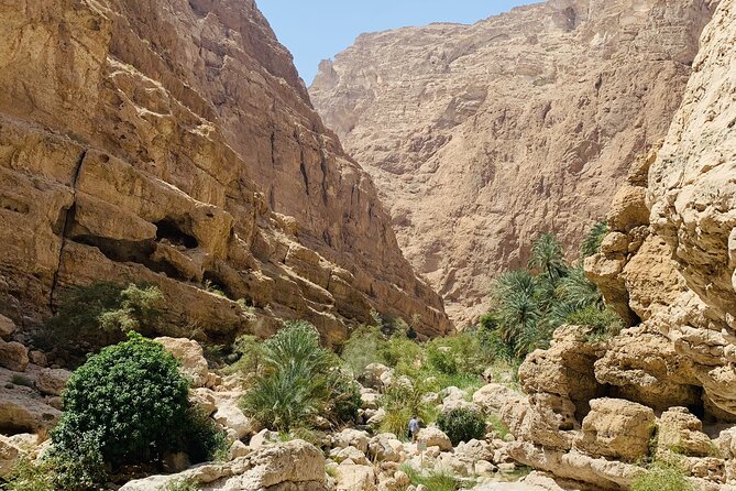 Private Oman Desert Overnight in Wahiba Sand and Wadi Exploration - Crossing Wahiba Sands by 4WD