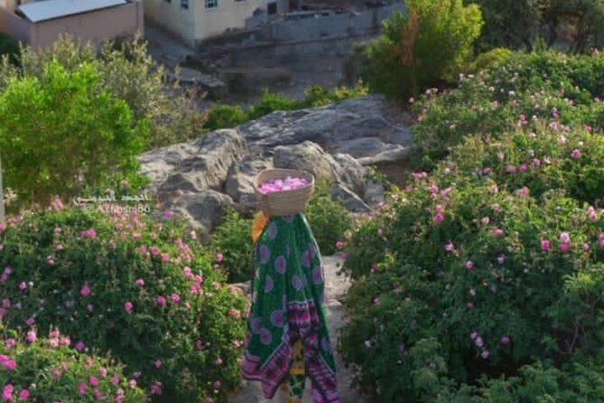 Private Oman Full Day Guided Sightseeing Tour - What the guide can add to the day