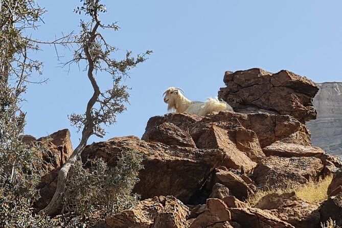 Private Overnight Jebel Shams Camping Tour - Inside Nizwa Fort