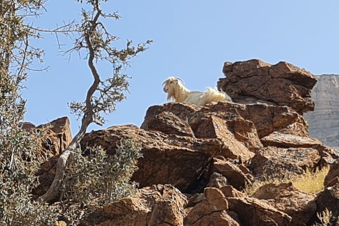 Private Overnight Nizwa & Jebel Akhdar Tour from Muscat - Morning views and the road to Jebel Shams