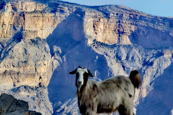 Private Overnight Nizwa & Jebel Akhdar Tour from Muscat - Al Hamra and Misfat Al Abriyeen on foot