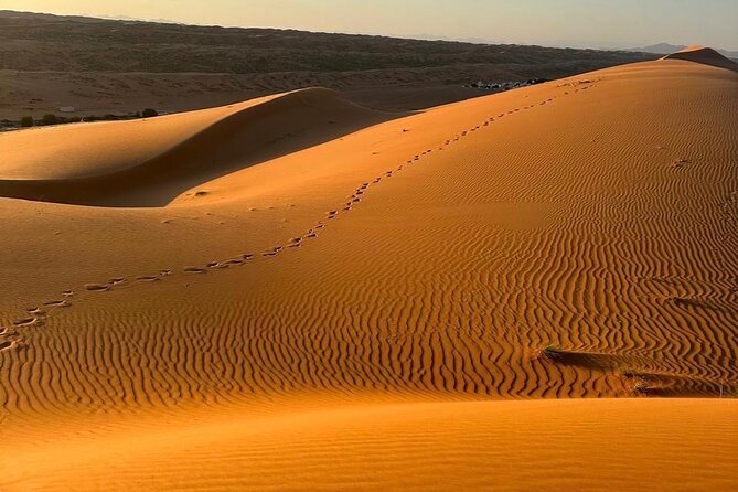 Private Safari tour and Wadi in 4x4 with a local guide - From Muscat to Oman’s water and sand