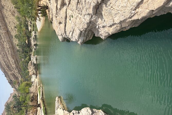 Private Safari tour and Wadi in 4x4 with a local guide - Is $603.96 good value for four people?