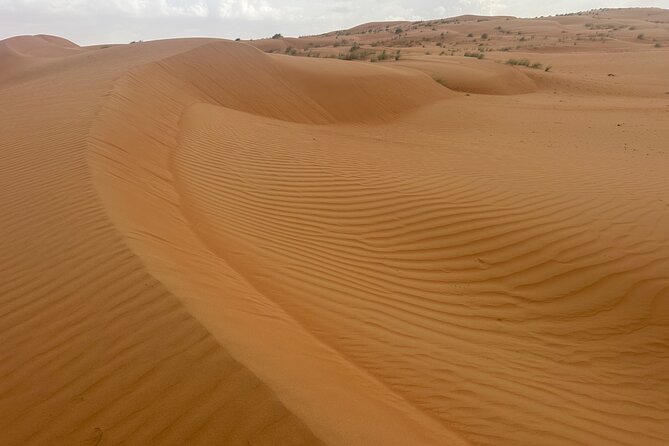 Private Safari tour and Wadi in 4x4 with a local guide - The 4x4 run toward Wahiba Sands