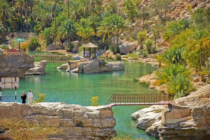 Private Safari Wahiba Sands and Wadi Bani Khalid from Muscat - Wahiba Sands and the hour of dune bashing