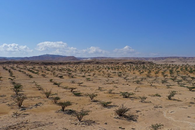 Private tour - Empty Quarter desert adventure - Wadi Dawka + Ubar - From Salalah to the frankincense country