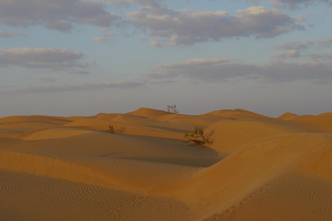 Private tour - Empty Quarter desert adventure - Wadi Dawka + Ubar - The long day, the comfort points, and the limits