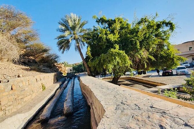 Private Tour to Jebel Akhdar Al Suwjara Village - What the private 4WD format adds