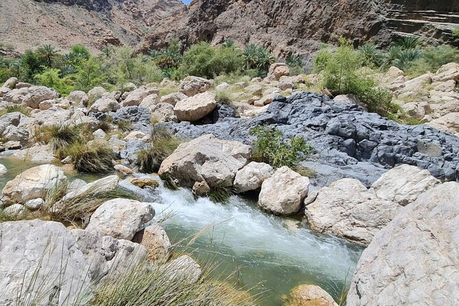 Private Wadi Arbyeen - Sinkhole - White Sand Beach- Full Day Tour - What the $178 price really covers