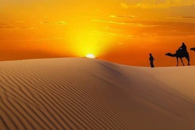 Private Watching Sunrise in the Desert - Early Morning Tour - Who will enjoy this day most