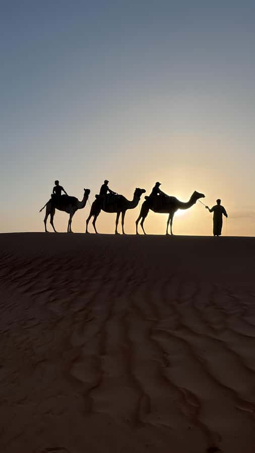 Safari World Zoo and Wahiba Sands with Sunset - Safari World Zoo in Ibra adds a different side of Oman