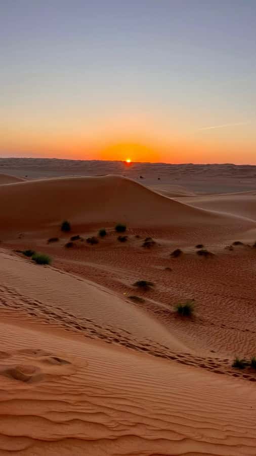 Safari World Zoo and Wahiba Sands with Sunset - Dinner at camp brings the desert day to a close