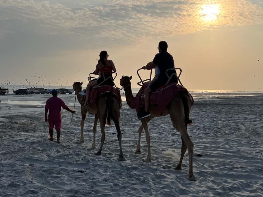 Salalah: Camel Riding on the Beach - A sunset ride, not a camel trek