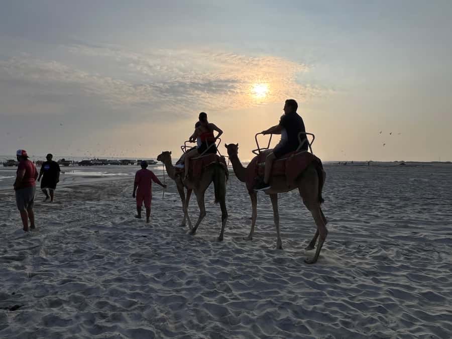 Salalah: Camel Riding on the Beach - Mounting up and getting comfortable