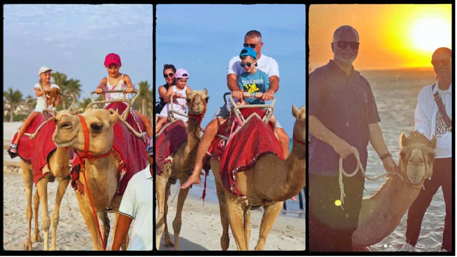 Salalah: Camel Riding on the Beach - Animal comfort and responsible riding