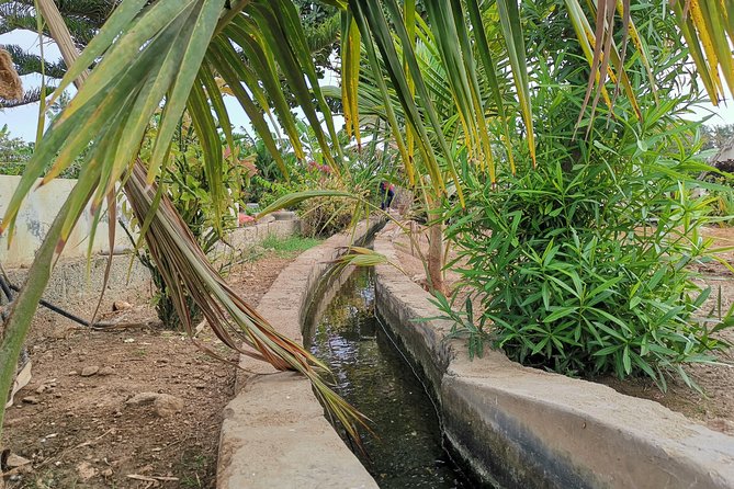 Salalah City private tour - all-inclusive sightseeing tour - Frankincense and shopping at Al Husn Souq