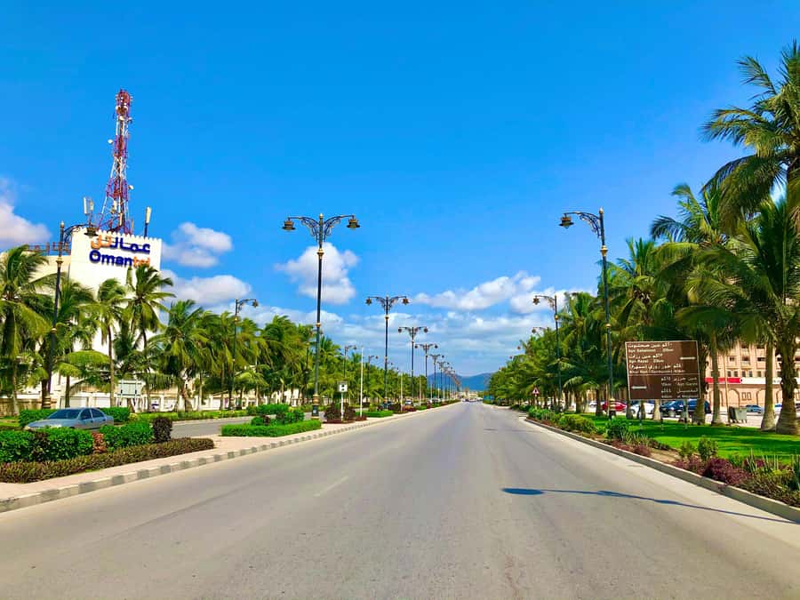 Salalah City Tour: Discover the Best of Oman’s Coastal Gem - Why this short tour works in Salalah