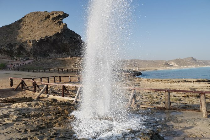 Salalah City Tour + West Coast Combo (Mughsail beach, blowholes) - Key points to know before booking
