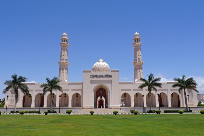 Salalah City Tour + West Coast Combo (Mughsail beach, blowholes) - Coconut palms and local irrigation in Al Haffa