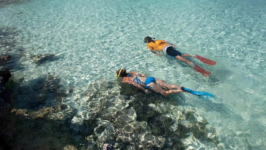 Salalah: Discover Mirbat's Snorkeling Paradise Guided Tour - Who should book the Eagle Bay trip?