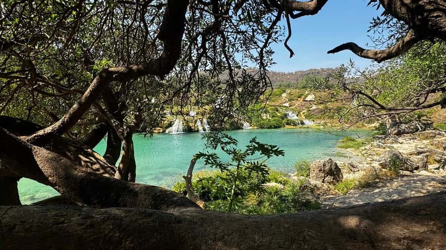 Salalah East Adventure: Waterfalls, Mountain & Safari - Who should book this Salalah tour?